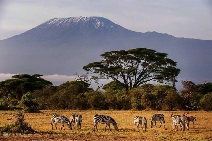 2 Days Amboseli safari from Nairobi Mount Kilimanjaro view