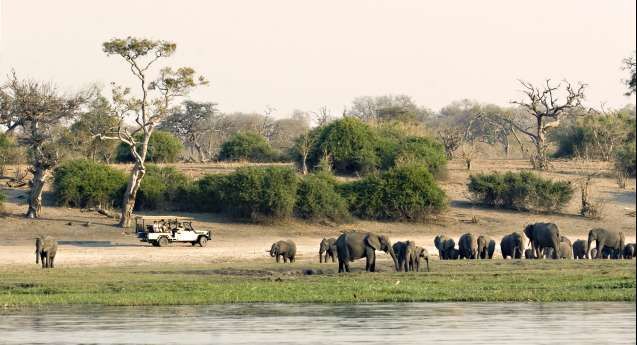 Big Five safari in Ngorongoro
