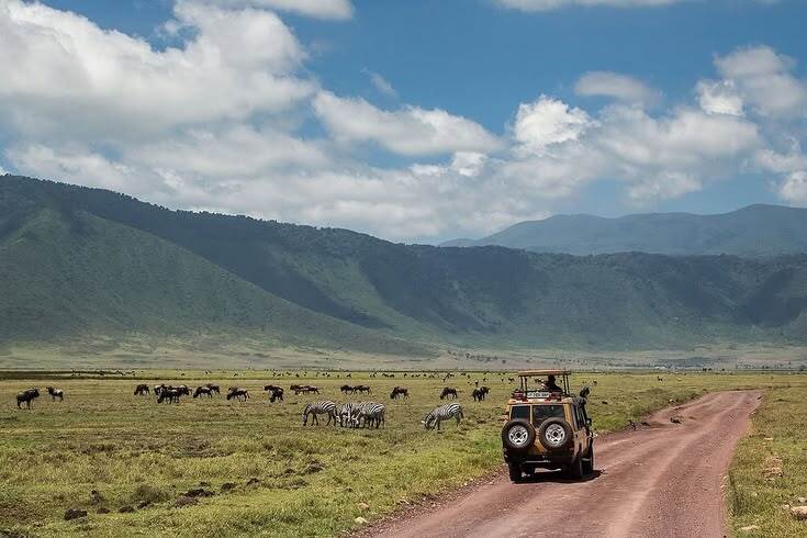 Arusha to Ngorongoro safari