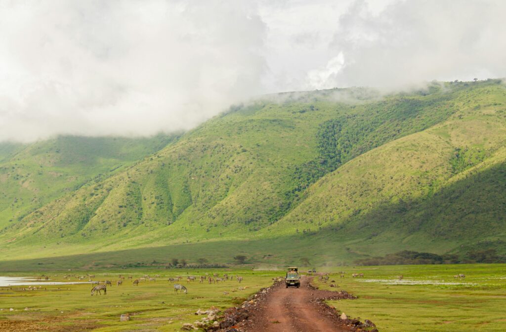 Ngorongoro Crater game drive