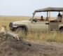 Safari vehicle exploring Maasai Mara National Reserve