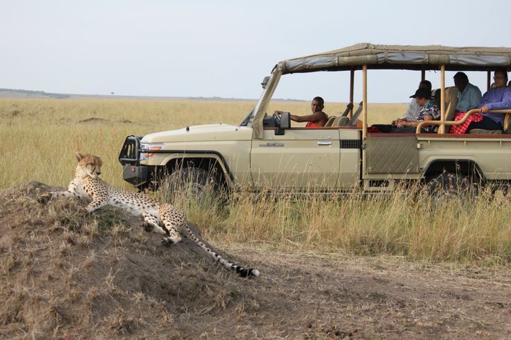 Safari vehicle exploring Maasai Mara National Reserve