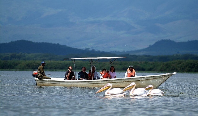 Lake Naivasha Boat ride