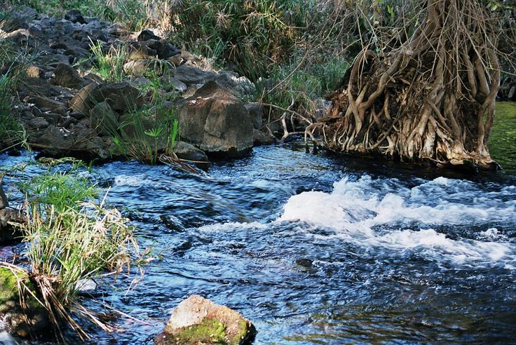 Tsavo West safari Mzima springs