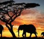 Kenya Travel Itinerary