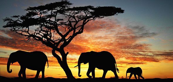 Kenya Travel Itinerary