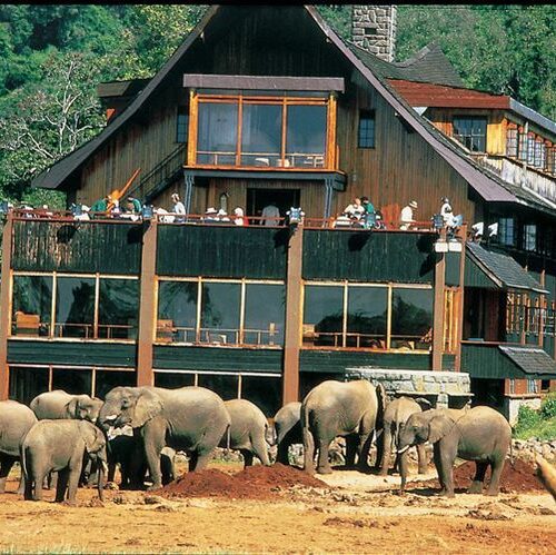Tsavo Amboseli Taita Hills safari