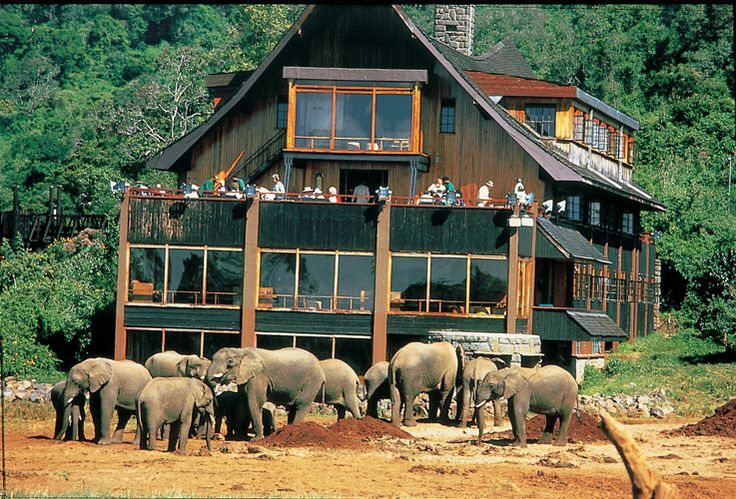 Tsavo Amboseli Taita Hills safari