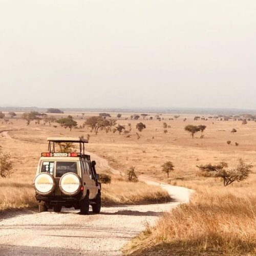 Safari vehicle during a game drive in Tsavo Kenya