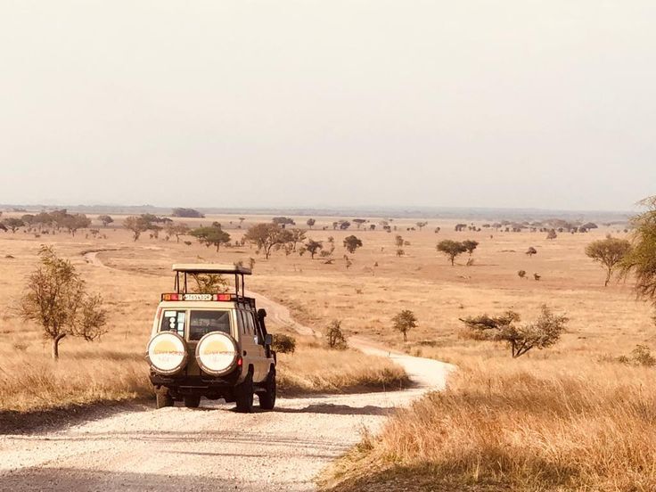 Tsavo East game drive