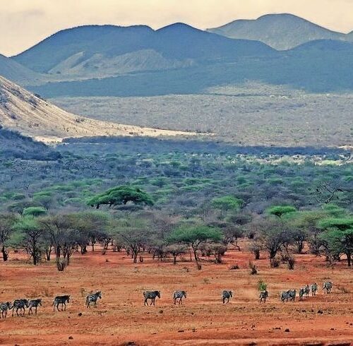 Tsavo West National park landscape