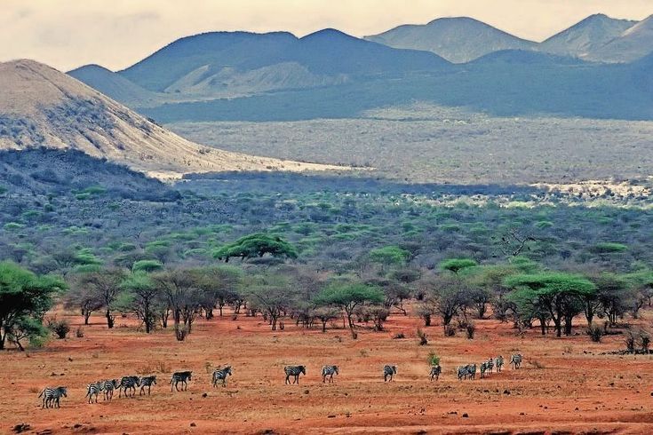 Scenic views in Tsavo West