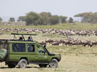 How many days do you need for a Kenya safari in Maasai Mara