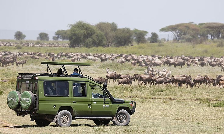 How many days do you need for a Kenya safari in Maasai Mara