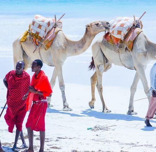 Kenya Safari and Beach Holiday