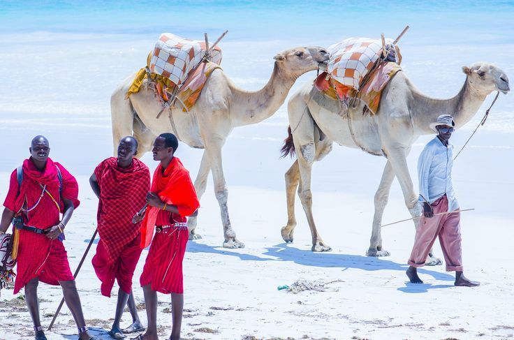 Kenya Safari and Beach Holiday