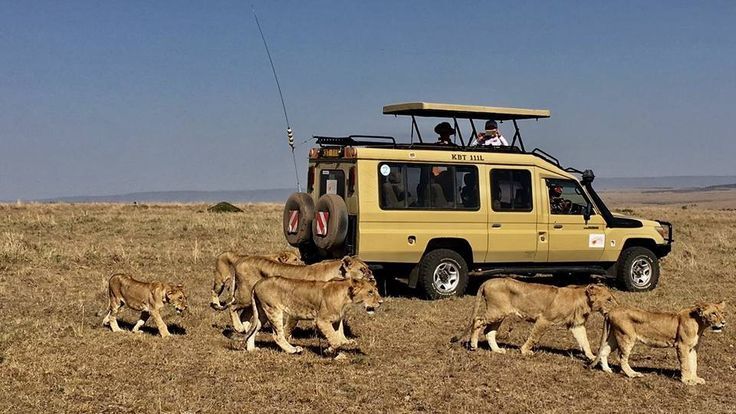 Safari Land Cruiser in Kenya