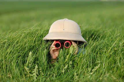 Essential safari accessories for a Kenya Safari.