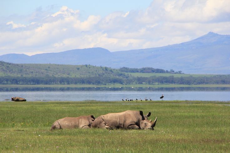 Scenic view point overlooking Lake Nakuru National park