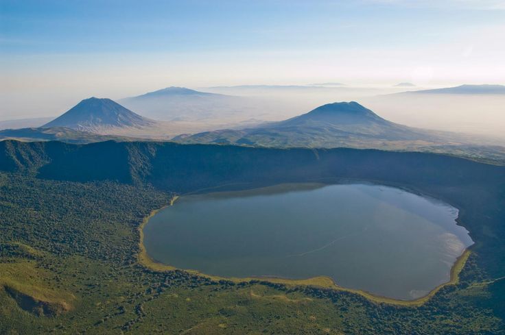 Wildlife in Ngorongoro Crater Tanzania