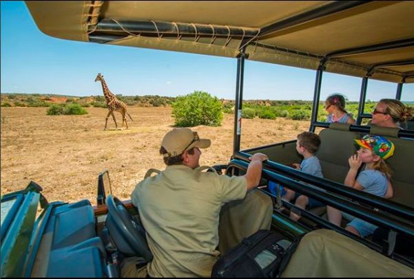 Family on game drive during a Kenya safari