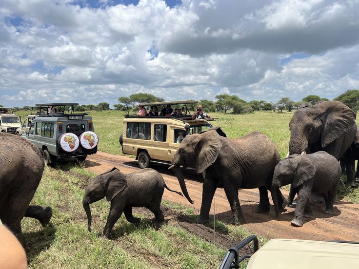 Family viewing elephants in Amboseli National park for the family Kenya safari packages