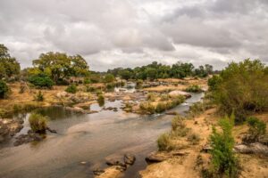 Scenic landscape of Ruaha National Park