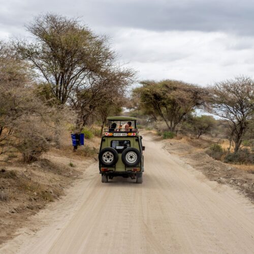 Guided game drive during a Mikumi Selous safari